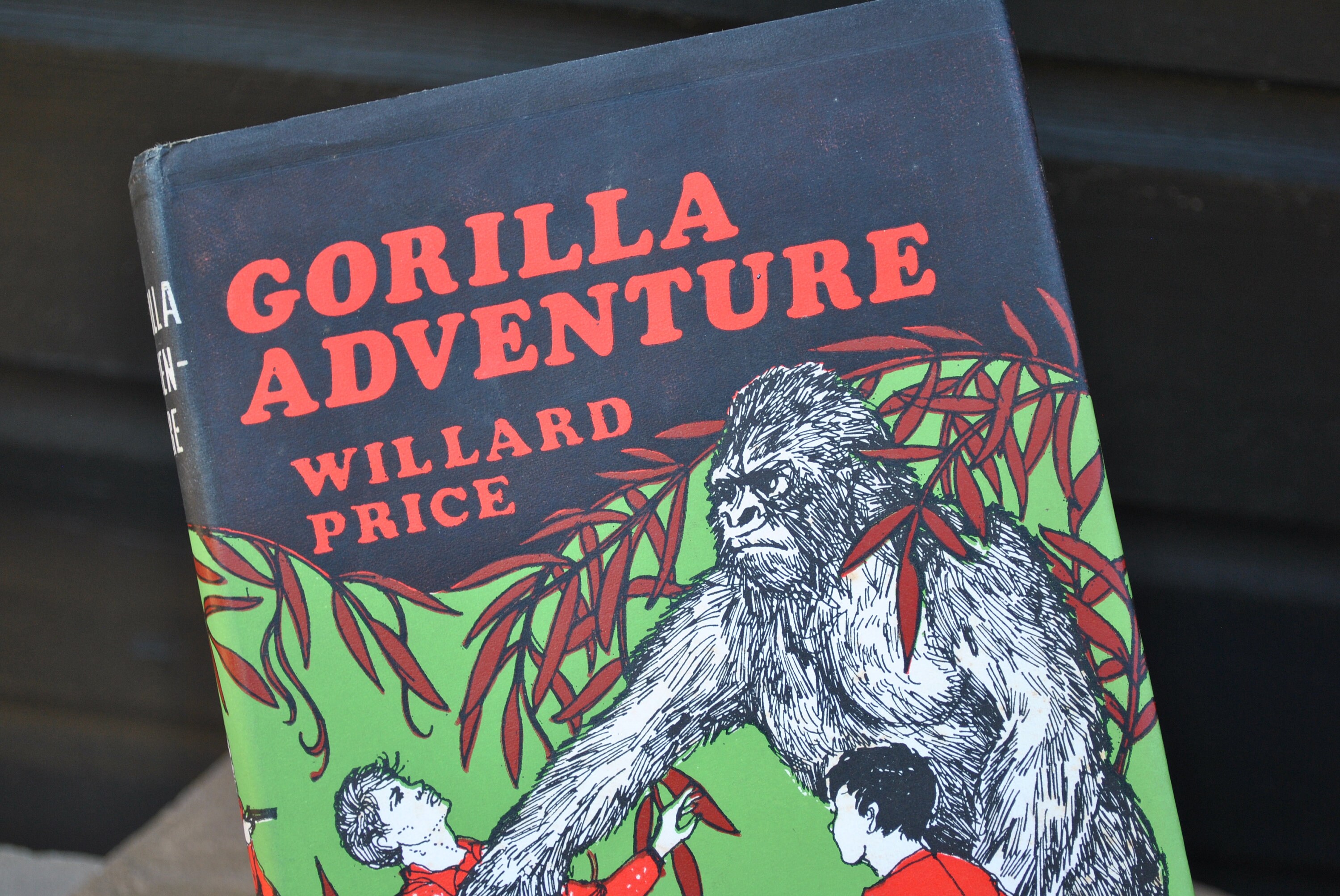 Prepare To Be Amazed: A Gorilla'S Treetop Adventure - vj61iks