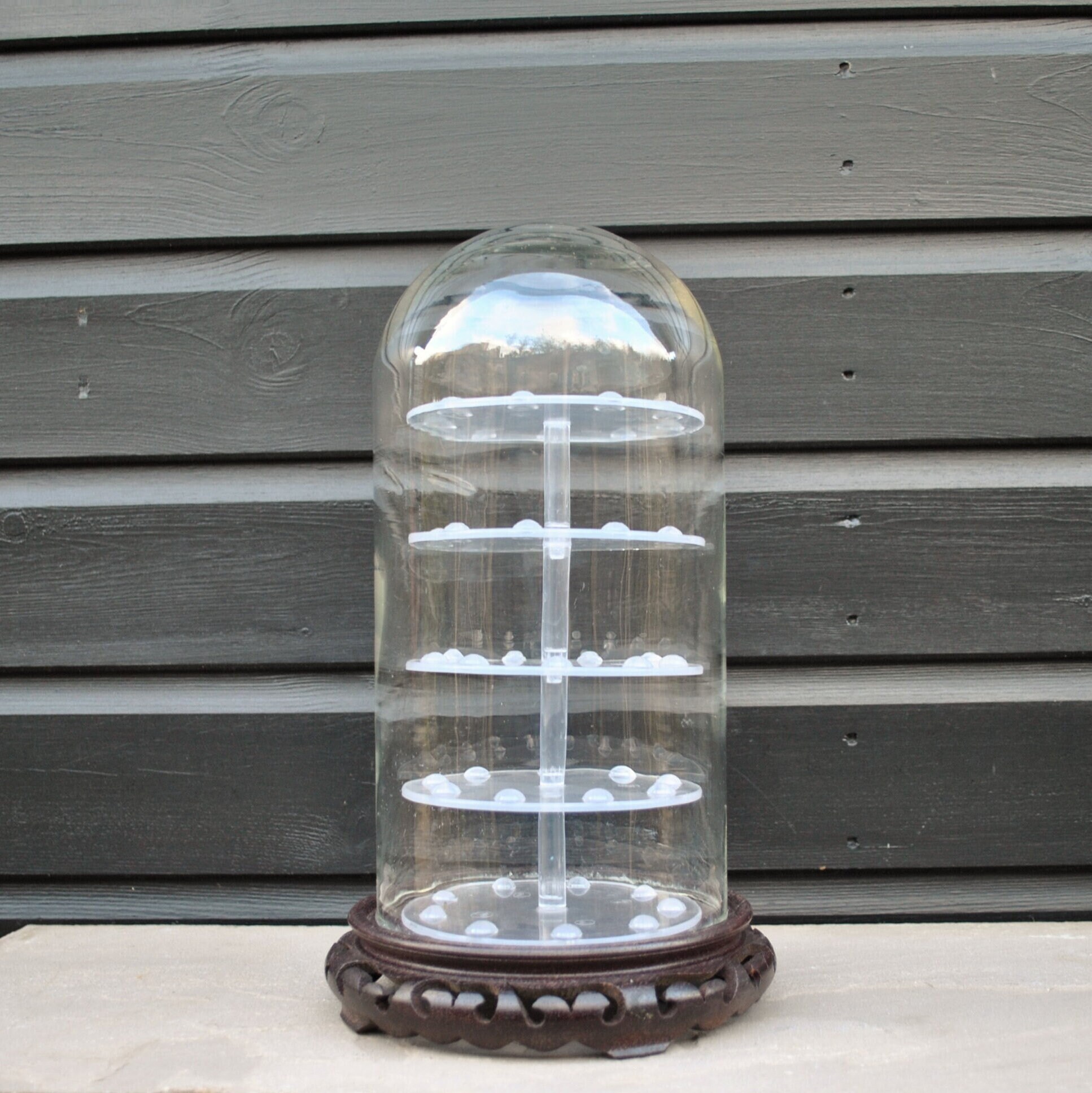 Glass and Wooden Display Case Dome Taxidermy Thimble - Etsy UK