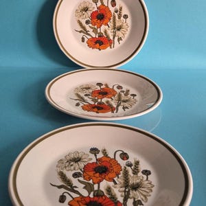 May include: Three white ceramic plates with a floral design featuring orange poppies, white daisies, and wheat stalks. Each plate has a brown rim. The plates are arranged on a blue surface.