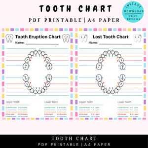 Può includere: Un grafico dentale stampabile in PDF per monitorare l'eruzione dei denti e i denti persi, con diagrammi dei denti superiori e inferiori. Il grafico include spazi per scrivere un nome ed è progettato per carta A4.