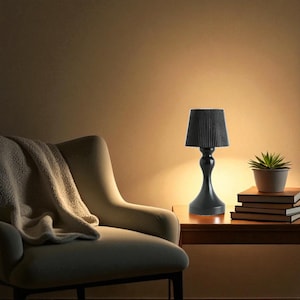 May include: A black table lamp with a pleated lampshade on a wooden side table. The lamp has a curved base, with a small potted plant and books beside it. A beige armchair and blanket are in the background.