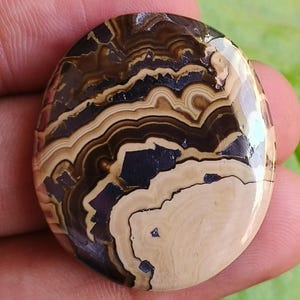 Puede incluir: Gema ovalada pulida con un patrón único de bandas marrones, beige y azul-negro oscuro. La piedra tiene un acabado brillante y se sostiene en una mano sobre un fondo de hojas verdes. La gema es un producto natural y terroso.