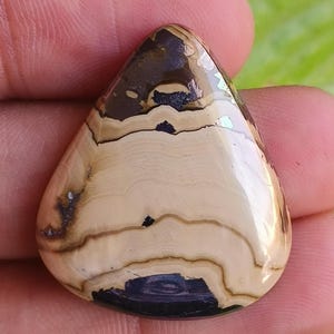 Puede incluir: Una piedra preciosa pulida en forma de lágrima. La piedra presenta un patrón de bandas beige y marrón, con detalles en marrón oscuro y negro. La piedra preciosa se sostiene en una mano, con follaje verde en el fondo.