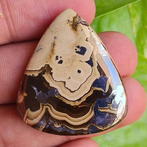 Puede incluir: Una piedra preciosa en forma de lágrima con una superficie pulida. La piedra presenta un patrón de bandas y remolinos beige, marrón y azul oscuro. La piedra preciosa se sostiene en una mano sobre un fondo de hojas verdes.