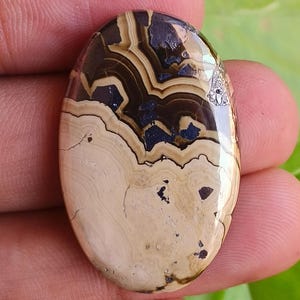 Puede incluir: Gema ovalada con superficie pulida. La piedra presenta una mezcla de colores beige, marrón y azul oscuro, con patrones intrincados. La gema se sostiene en una mano, mostrando su tamaño y detalle.