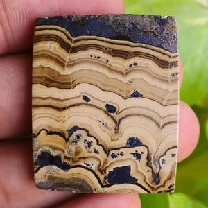 Puede incluir: Una piedra rectangular con un patrón en capas de tonos beige, marrón y azul oscuro. La superficie de la piedra tiene una textura natural y ondulada, y los bordes son ligeramente ásperos. La piedra se sostiene contra un fondo de follaje verde.