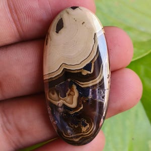 Puede incluir: Una gema de forma ovalada con una superficie pulida. La piedra presenta un patrón en capas de tonos beige, marrón y marrón oscuro. La gema se sostiene en una mano, mostrando su belleza natural y sus variaciones de color únicas. La piedra mide aproximadamente 5 cm de largo.
