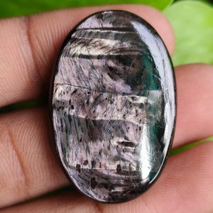 以下が含まれることがあります： 磨かれた表面を持つ楕円形の宝石。石は、濃い灰色、黒、薄紫色の色合いが混ざり合い、縞模様があります。宝石は手で持たれており、緑の葉の背景があります。