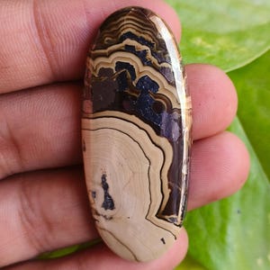 Puede incluir: Una gema ovalada con una superficie pulida. La piedra presenta un patrón en capas de tonos beige, marrón y negro. La gema se sostiene en una mano, mostrando su tamaño y forma. La estética general es natural y terrosa.