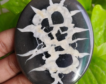 May include: Oval-shaped black and white stone with a unique pattern. The stone features a dark gray base with a striking white design resembling a stylized, abstract shape. The white pattern has sharp, spiky extensions.