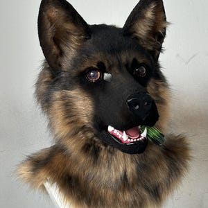 Könnte beinhalten: Eine realistische Hundemaske eines Deutschen Schäferhundes mit schwarzem und lohfarbenem Kunstfell, spitzen Ohren und braunen Augen. Die Maske hat ein offenes Maul mit weißen Zähnen und einer rosa Zunge, in der ein kleiner grüner Zylinder steckt.