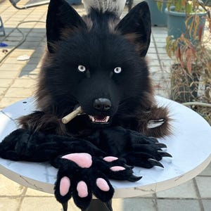 以下が含まれることがあります： 茶色のハイライトが入った黒いオオカミのマスク。鋭い白い目をしており、開いた口には小さな木の棒をくわえています。マスクには、柔らかいピンクの肉球と黒い爪が付いた、お揃いの黒いぬいぐるみのような手袋が付属しています。