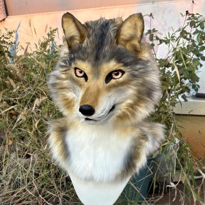 May include: A realistic wolf mask with detailed fur in shades of brown, gray, and cream. The mask features expressive eyes with pink accents and a black nose. The mask is designed to be worn, with a white base visible at the bottom.