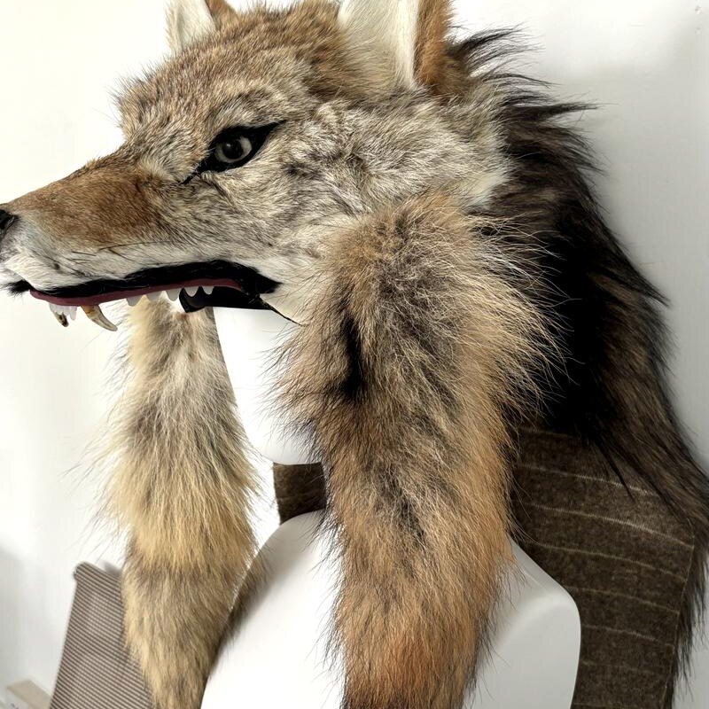 Werewolf Costume - Etsy