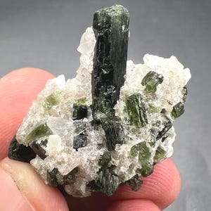 Könnte beinhalten: Ein dunkelgrünes Turmalinkristall-Exemplar mit einer markanten, länglichen Kristallstruktur. Der Turmalin ist auf einer Matrix aus weißem Quarz und kleineren grünen Kristallen angeordnet, was einen auffälligen Kontrast erzeugt. Die Mineralformation wird in einer Hand gehalten.