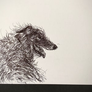 Croquis de chien Lurcher, encre noire sur carton blanc
