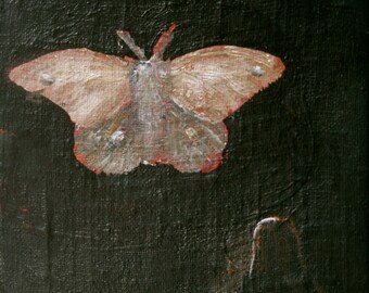 Night moth, print of original painting