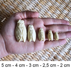 May include: Six off-white cicada figurines, ranging in size from 0.79 inches to 1.97 inches, are displayed on a hand. The cicadas are intricately detailed, showcasing their wings and body segments. The image includes size measurements in centimeters.