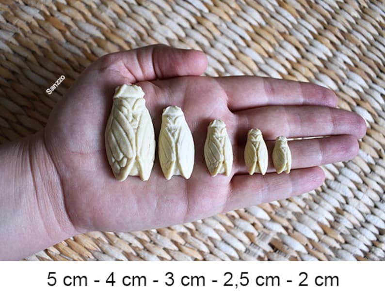 May include: Six off-white cicada figurines, ranging in size from 0.79 inches to 1.97 inches, are displayed on a hand. The cicadas are intricately detailed, showcasing their wings and body segments. The image includes size measurements in centimeters.