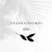 Thanksinsomni store logo