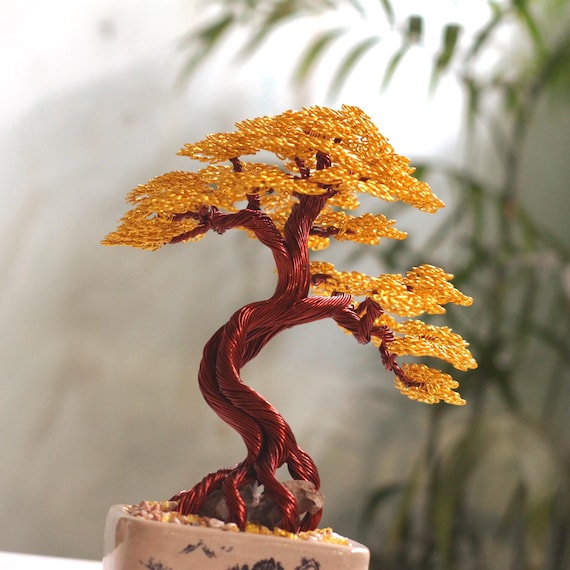 cercis canadensis bonsai Eastern Redbud Cercis canadensis – Oakland Shade Trees & Nursery main image 0