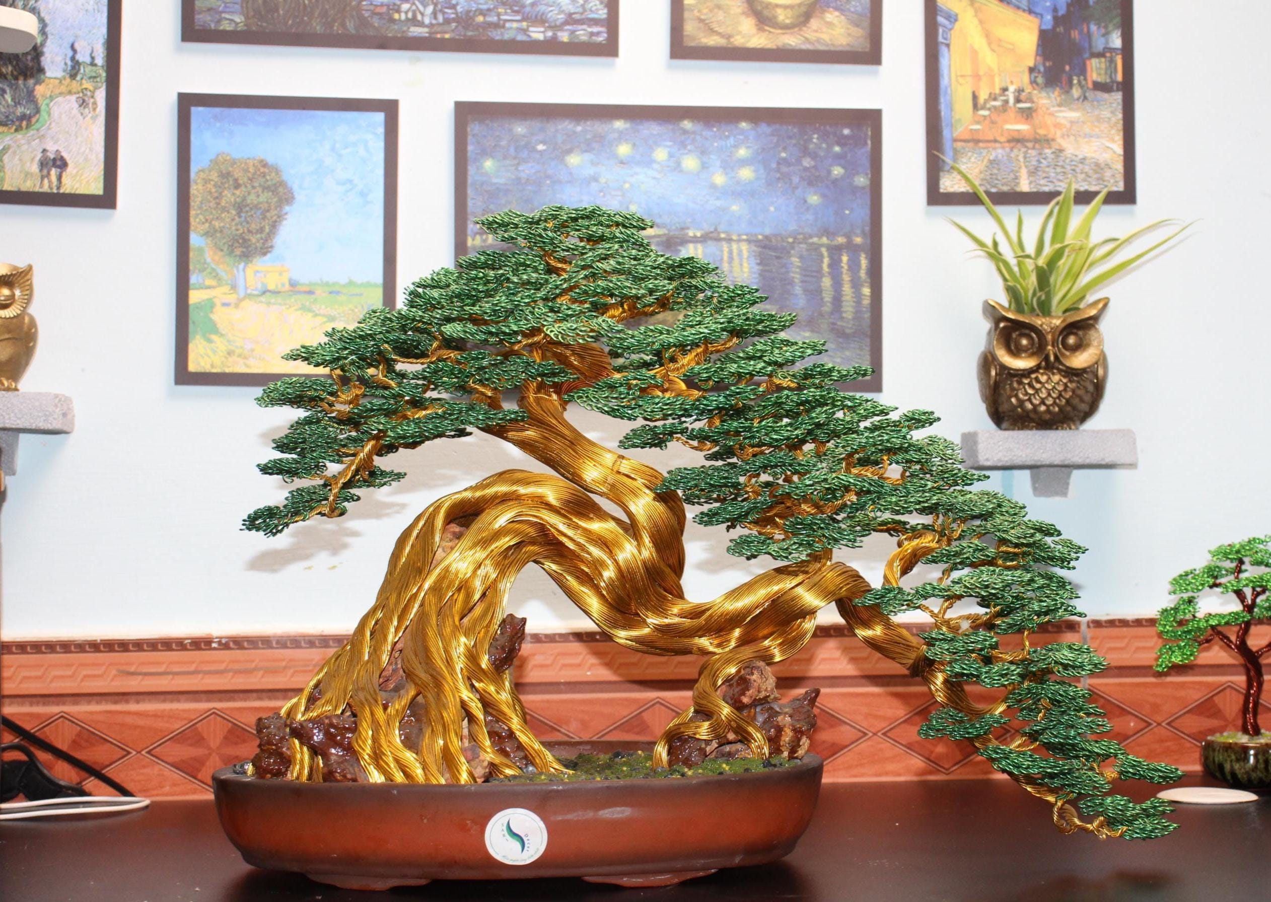 bonsai topf hornbach Olivenbaum Olea europaea Bonsai kaufen | 225 cm