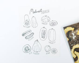 Midwest squash art print, 8x10