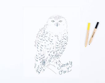 snowy owl art print, 8x10