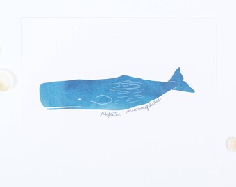 sperm whale art print, 8.5x11