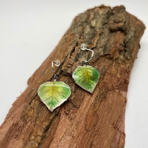 Green quaking aspen leaf earrings