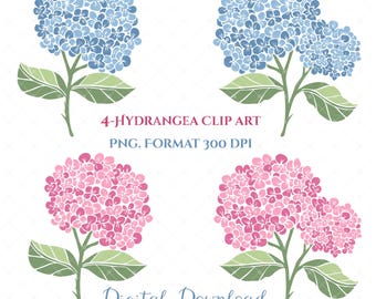 4--Hydrangea Digital Clip Art PNG. Format Transparent ground