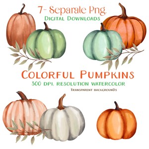 Digital Set of 7 Hand-Drawn PNG. Pumpkins Digital Download,clip art Individual pumpkins