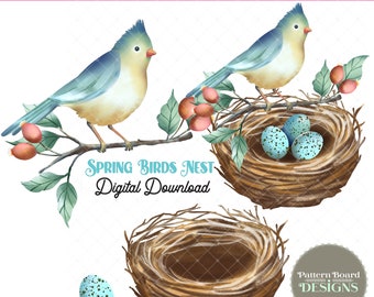 Blue Birds Nest Digital Clip Art Png 300 dpi.