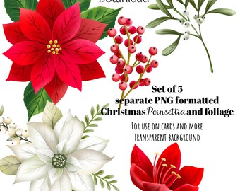 Digital Download POINSETTIA and foliage
