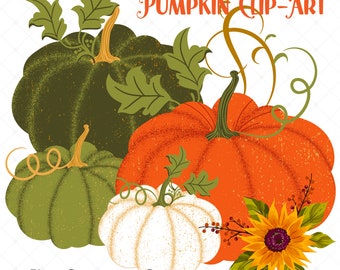 Digital Velvety Speckled PUMPKIN Clip-Art PNG