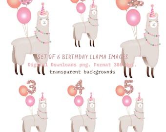 Digital BIRTHDAY LLAMA clip-art/Birthday cards/banners/evites Png. format