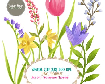 7 DIGITAL Spring Flowers watercolor  PNG. only  Clip Art