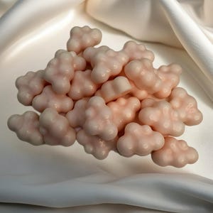 Pink Sugar Cloud Wax Melts – Handgemaakte sojawas (pak van 5)