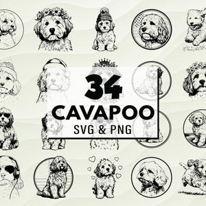 Cavapoo SVG PNG Clipart, Cute Cavapoo Silhouette, Cricut Cut Files, Dog Mom Gifts, Pet Decals, Apparel & Digital Designs, Dog Lover Svg, Pet