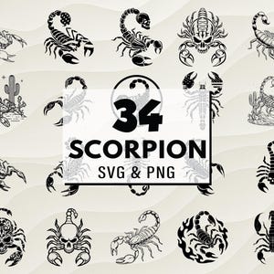 Bundle Scorpion SVG PNG, Clipart Scorpion, animaux du désert fichiers coupés, Scorpion Cricut, vecteur Scorpion, créature du désert Svg, conceptions numériques