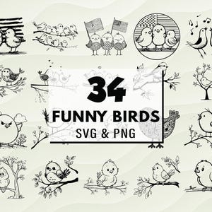 Funny Birds SVG PNG Bundle, Cute Bird Clipart, Silly Animal Silhouette Designs, Bird Vector, Funny Bird Quotes, Cartoon Bird Decal, Crafts