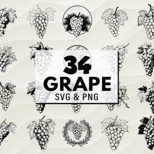 Grape SVG PNG Bundle, Grape Bunch Silhouette, Grape Clipart, Vineyard Fruit Cricut, Grape Cut Files, Grape Vector, Digital Design for Crafts