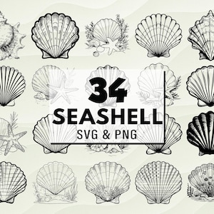 Seashell SVG PNG Bundle, Beach Shell Silhouette Clipart, Nautical Cricut Cut Files, Ocean Vector, Sea Life Svg, Beach Decor Svg, Ocean Png