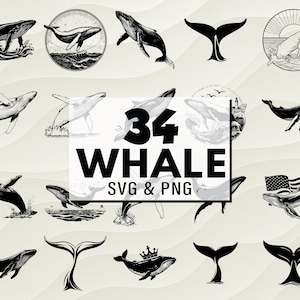 Whale SVG PNG Bundle, Whale Clipart, Ocean Animal Cut Files, Whale Cricut, Whale Vector, Digital Design Decal, Sea Animal Svg, Whale Artwork