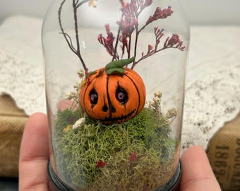 Creepy Pumpkin Terrarium: Halloween Miniature Decor