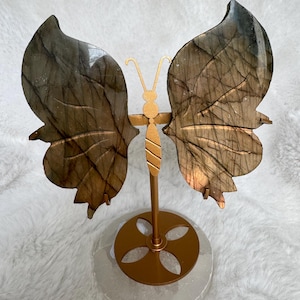 labradorite butterfly with stand sunset flash