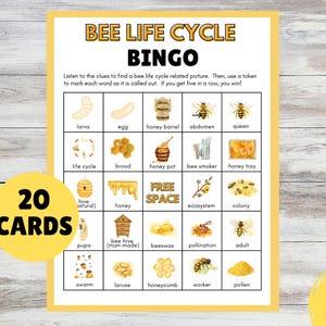 Bingo sur le cycle de vie des abeilles | Jeu scientifique pour enfants | Insecte printanier | PDF imprimable