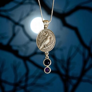Pu&ograve; includere: Collana con pendente color argento con un pendente ovale raffigurante un corvo su un ramo, una luna crescente e due gemme pendenti. Le gemme sono blu scuro e viola. La collana &egrave; appesa su uno sfondo blu scuro.