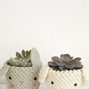 Könnte beinhalten: Zwei gehäkelte Blumentöpfe in Tierform, einer grau und einer cremefarben, die jeweils eine Sukkulentenpflanze enthalten. Die Töpfe haben aufgestickte Gesichter mit rosa Wangen und schwarzen Augen. Der graue Topf hat Ohren.