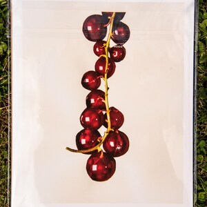 Forbidden Fruit Collage Print | Modern Wall Art